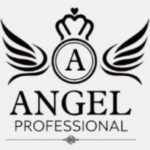 whatsapp image 2025 12 02 at 12.27.12 pm